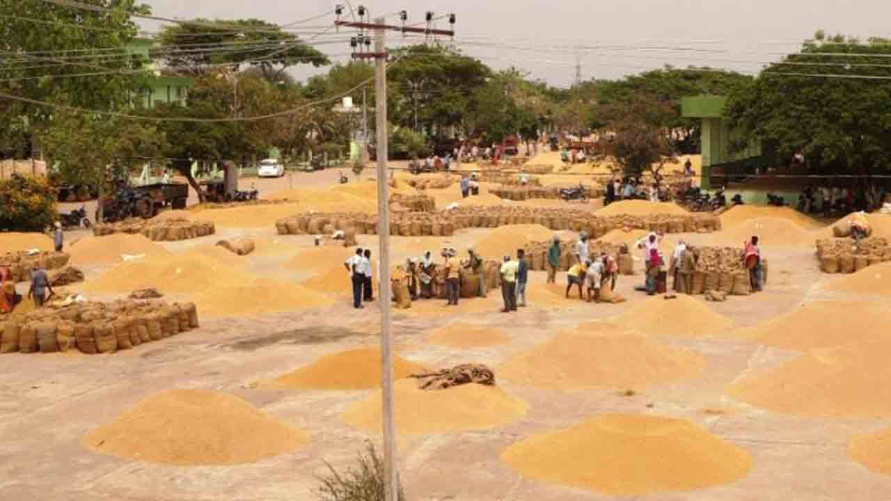 వడ్లకు తెలంగాణే దిక్కు!.. ధాన్యంపై ముందుచూపు లేని కేంద్ర ప్రభుత్వం