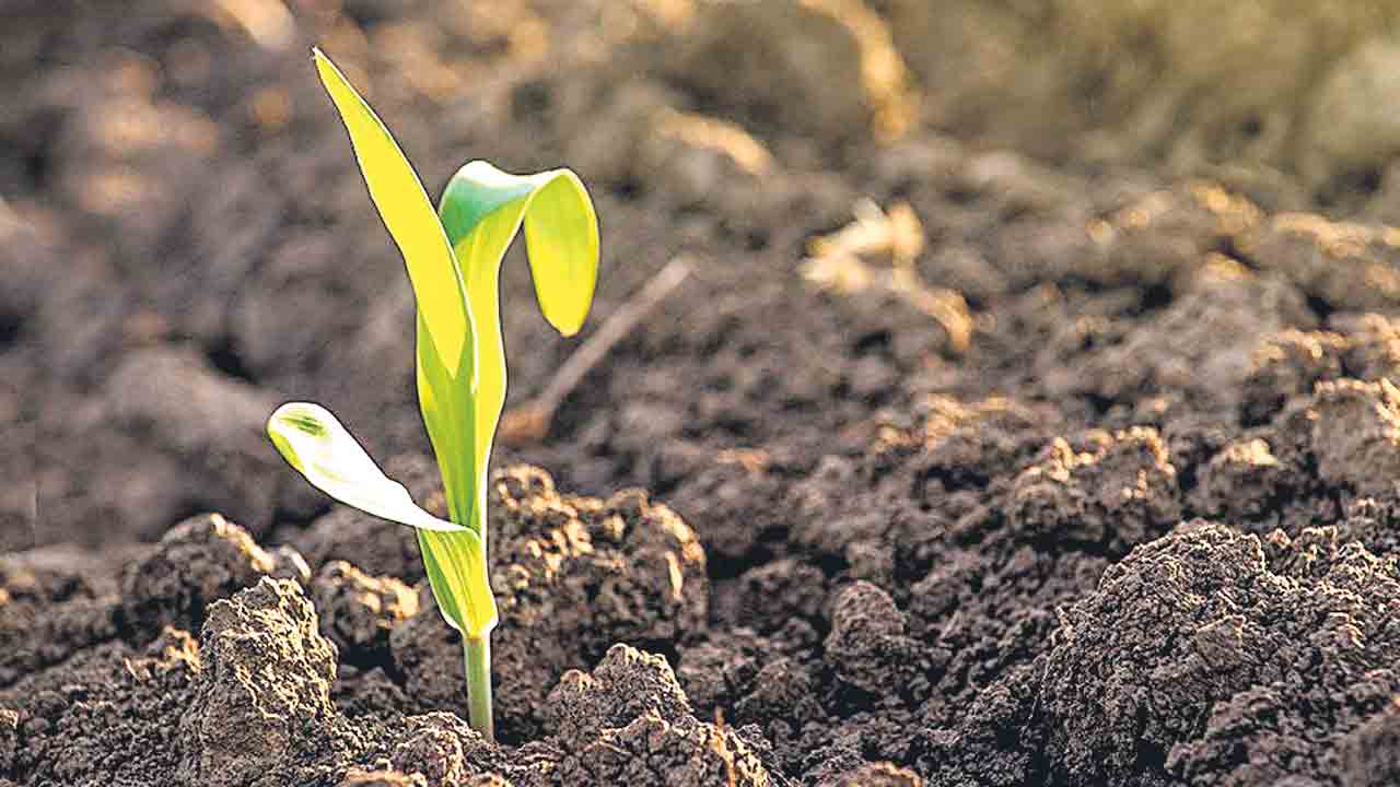 మట్టి తత్వం