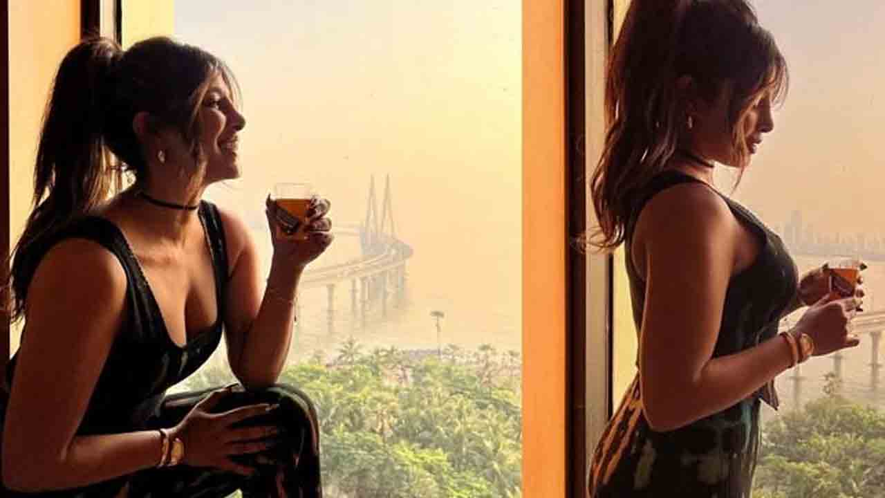 Priyanka Chopra | పుట్టింటిలో ప్రియాంకా చోప్రా.. స్లిమ్‌, గ్లామరస్‌ లుక్‌కు నెటిజన్లు ఫిదా