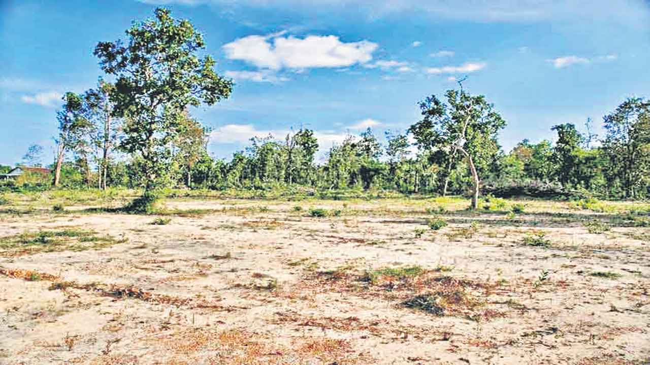 పోడు భూముల సమస్య పరిష్కారానికి చర్యలు ముమ్మరం