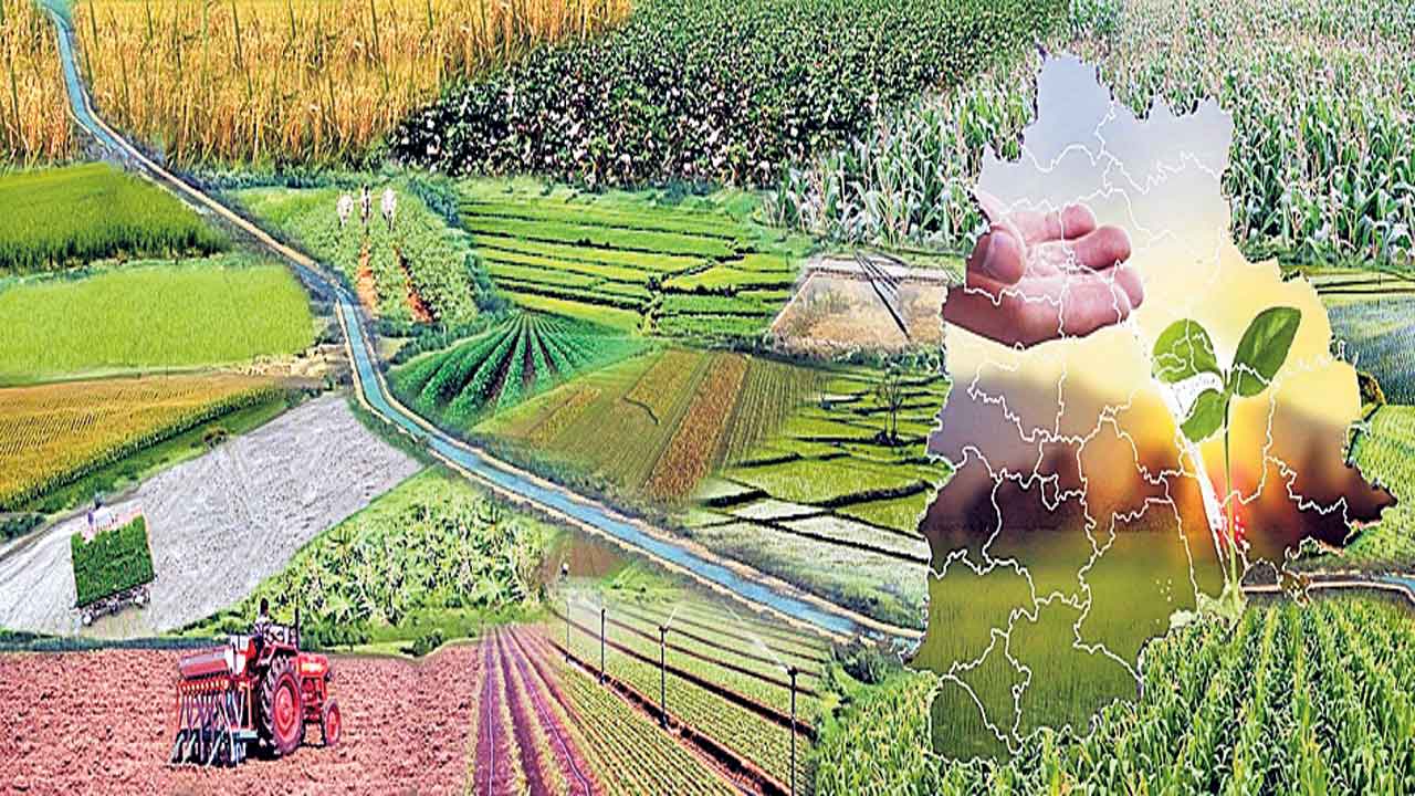 వినూత్న సాగు.. నాలుగు విధాలుగా మేలు