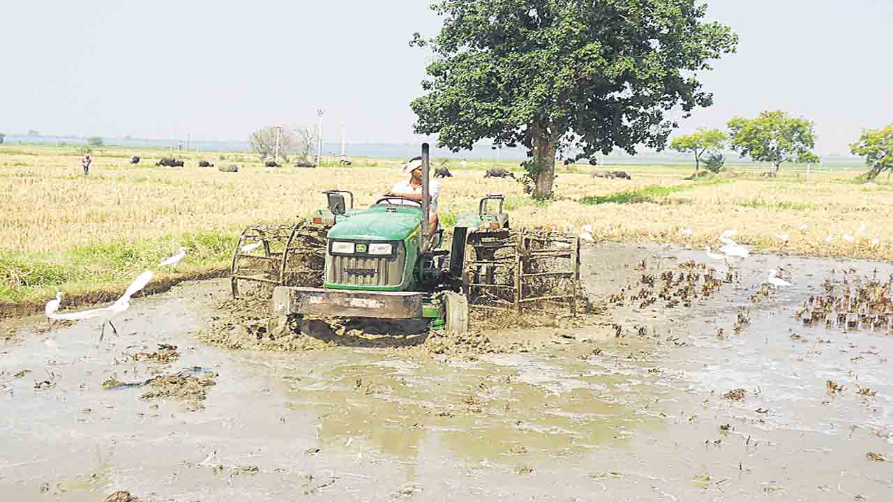 ఆపదలో.. బంధువై..