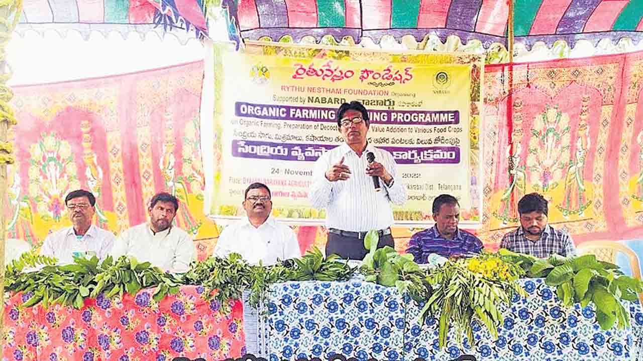 అంతరపంటలతోనే రైతుల ఆదాయం పెంపు