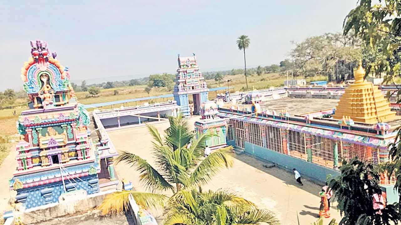 కోరిన కోర్కెలు తీర్చే ఇలవేల్పు