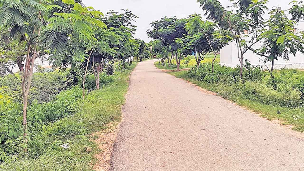 హరిత అందాలు