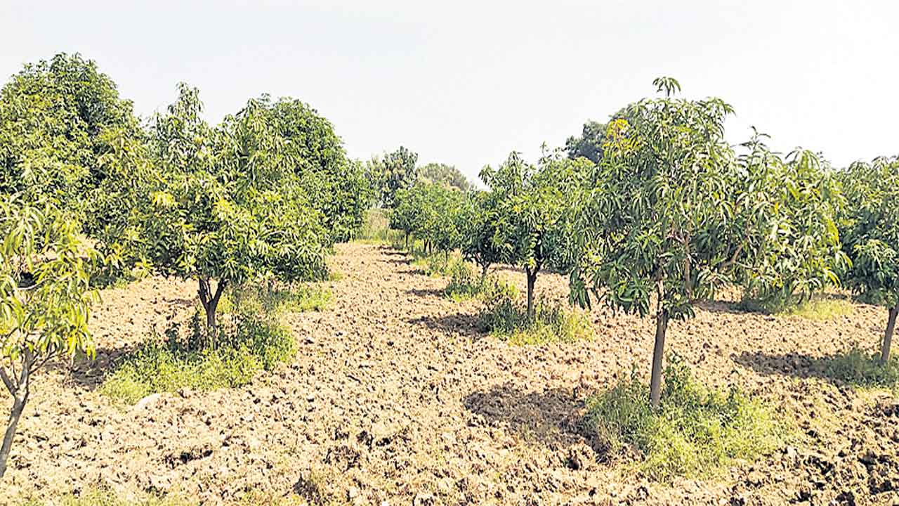 సమీకృతం లాభదాయకం