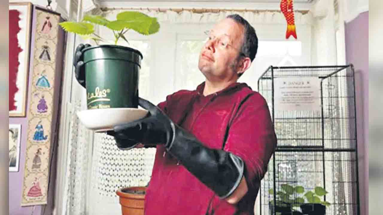 బోర్‌ కొడుతున్నదని విషపు మొక్క పెంచుతున్నాడు!