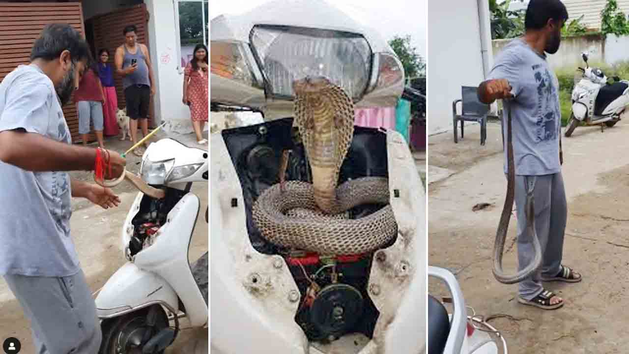 Viral Video | బుసలు కొడుతున్న నాగుపాము.. చేత్తో పట్టుకొని.. వీడియో చూస్తే వణుకు పుట్టాల్సిందే..!