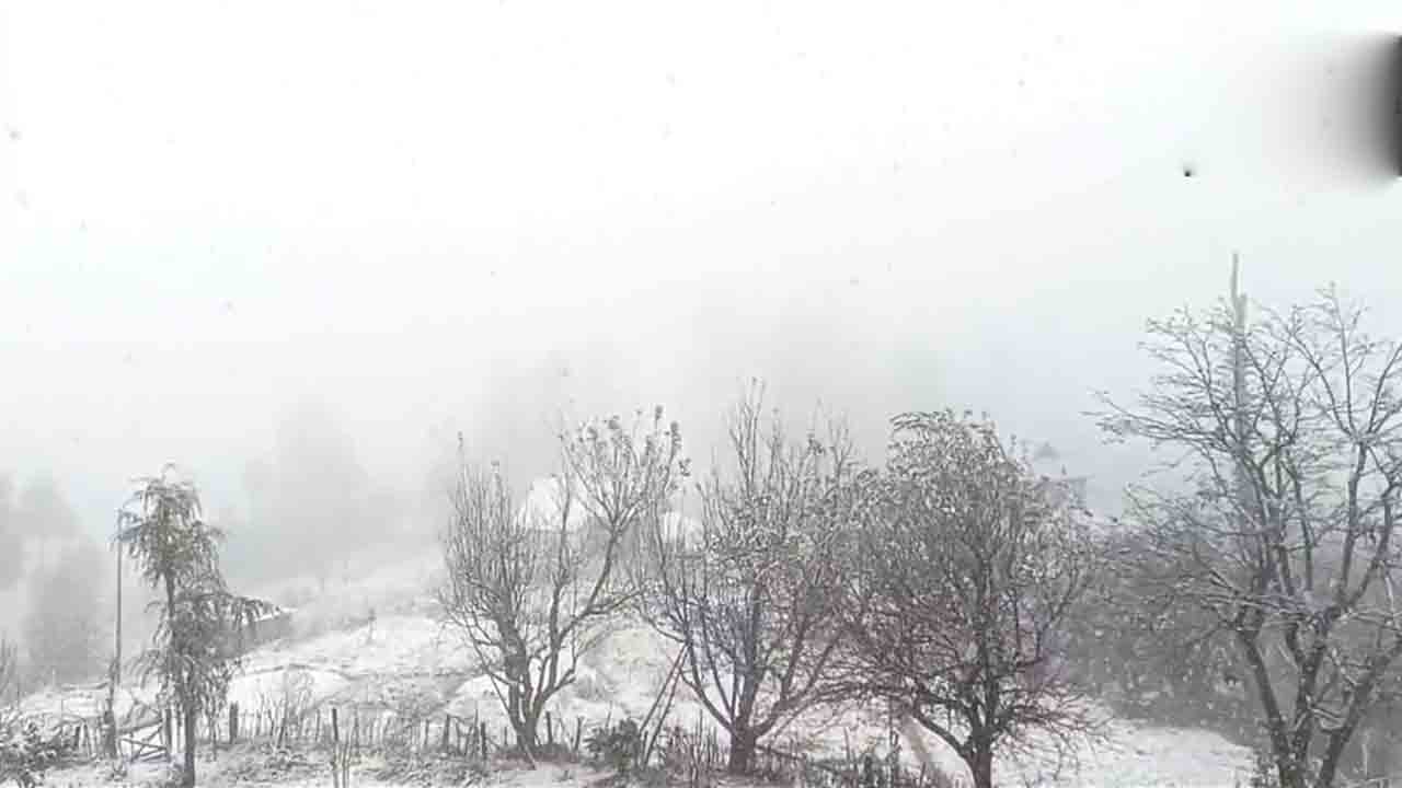 దోడాలో జోరుగా మంచు వర్షం.. వీడియో