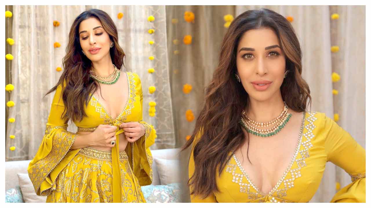 Sophie Choudry | సోఫీ చౌదరి అందచందాలు అదరహో..