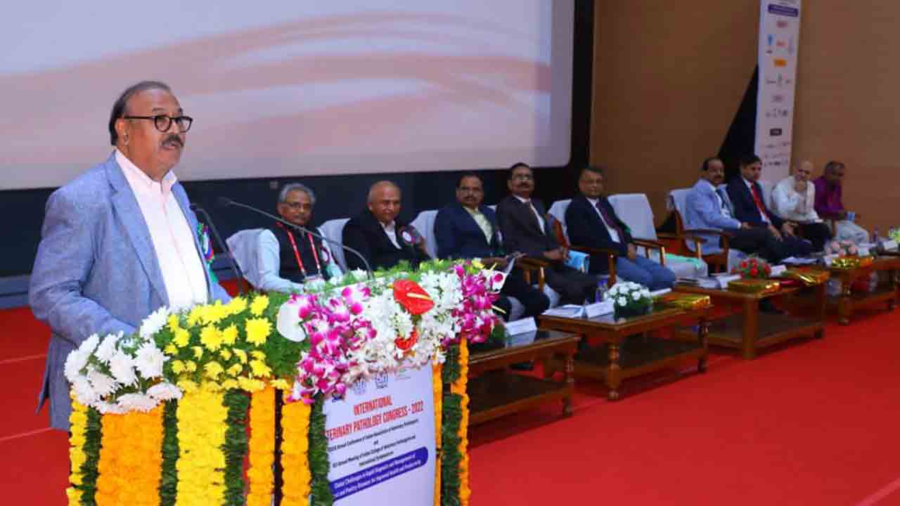 పశువుల నుంచే మరో మహమ్మారి