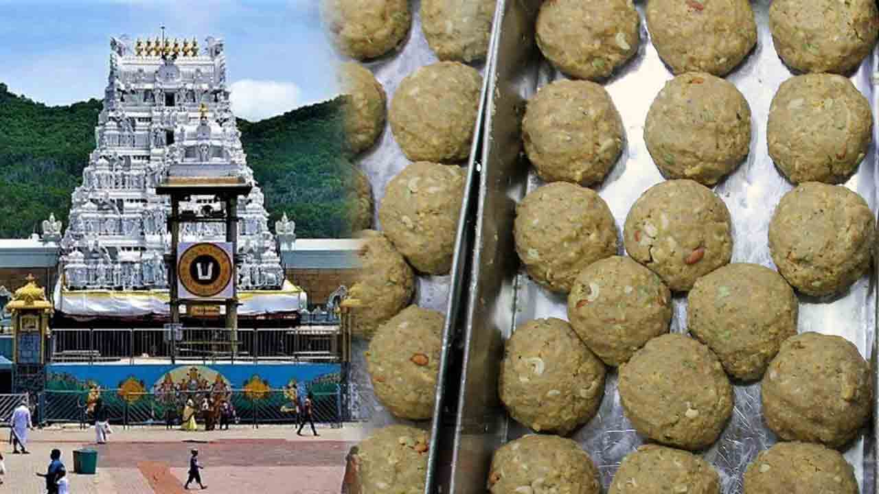 TTD | శ్రీవారి లడ్డూ పరిమాణం, బరువుపై క్లారిటీ ఇచ్చిన టీటీడీ