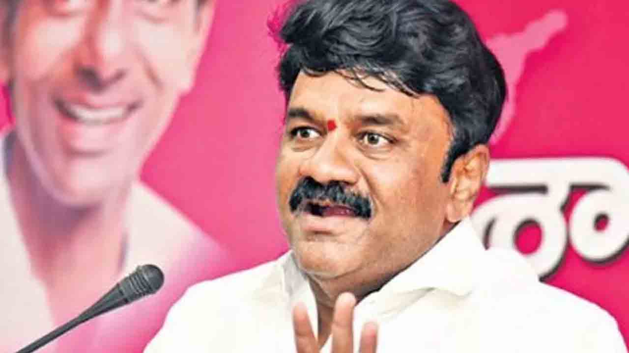తాటాకు చప్పుళ్లకు భయపడం : మంత్రి తలసాని