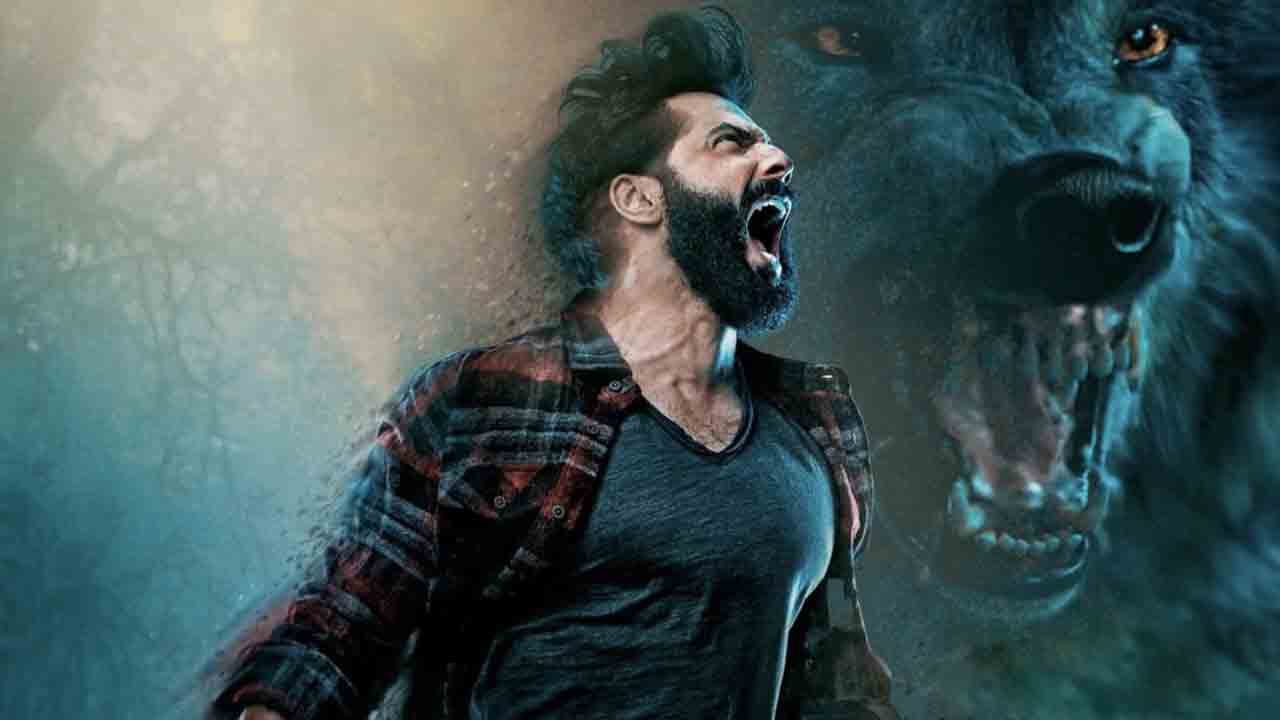 Varun Dhawan | వరుణ్‌ ధవన్‌ తోడేలు సినిమా ప్రీ రిలీజ్‌ ఈవెంట్ వివరాలివే