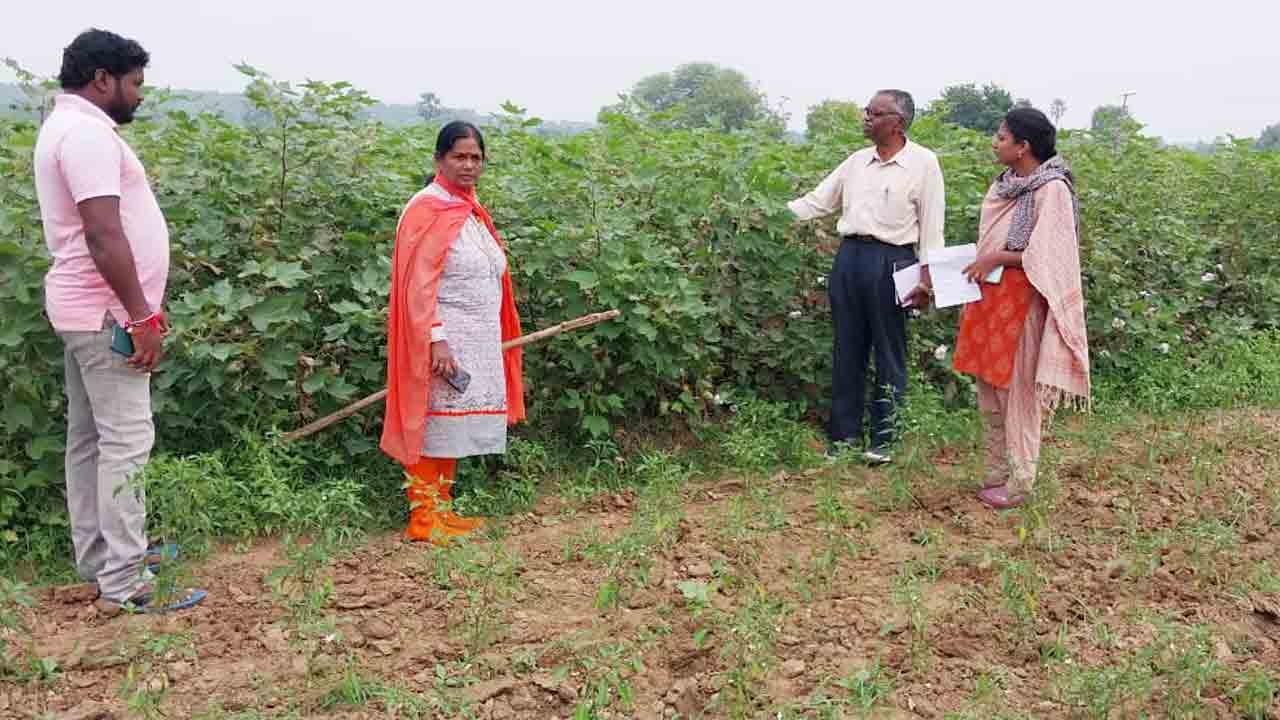 రైతులు మెళకువలు పాటించాలి