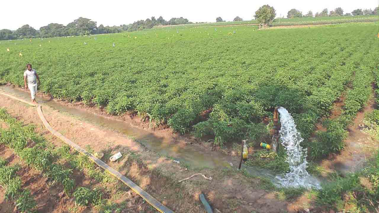 సాధారణం కంటే తక్కువగా..