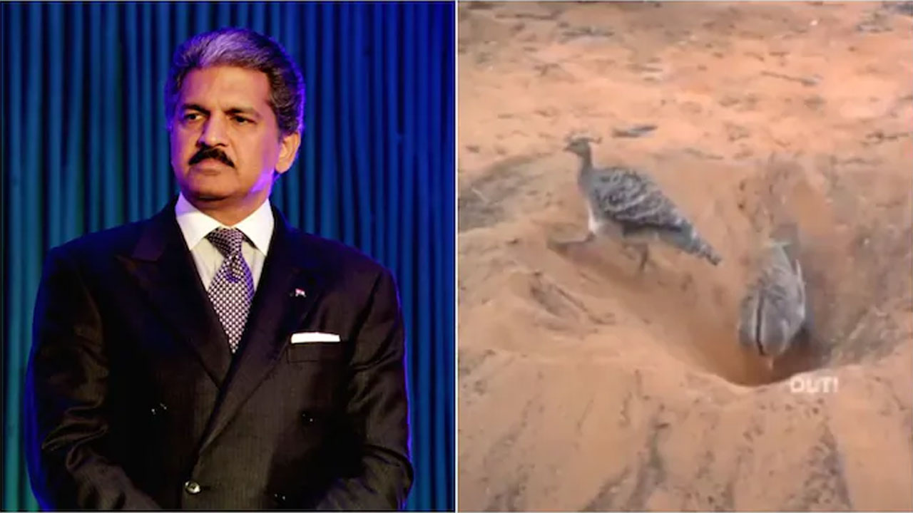 వైర‌ల్ వీడియో : టీమ్ వ‌ర్క్ కాన్సెప్ట్ హైలైట్ చేసిన ఆనంద్ మ‌హింద్ర