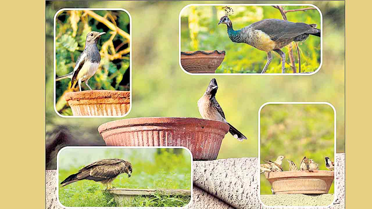 ప్రకృతి