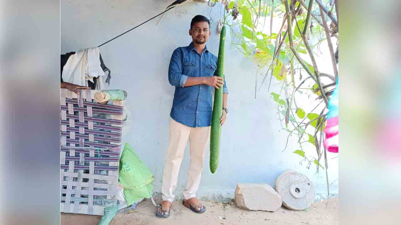 ఈ సొర‌కాయ పొడ‌వు 4 అడుగుల 7 అంగుళాలు