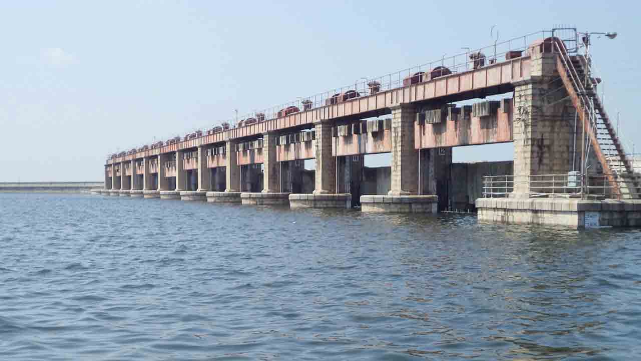 నిశ్చింతగా ‘సాగు’డే..