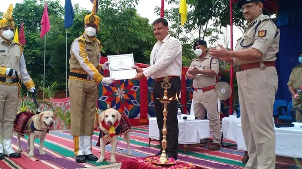 cisf dogs retirement: ప‌దేండ్ల స‌ర్వీస్ అందించిన సీఐఎస్ఎఫ్‌ డాగ్స్‌కి ఘ‌నంగా వీడ్కోలు
