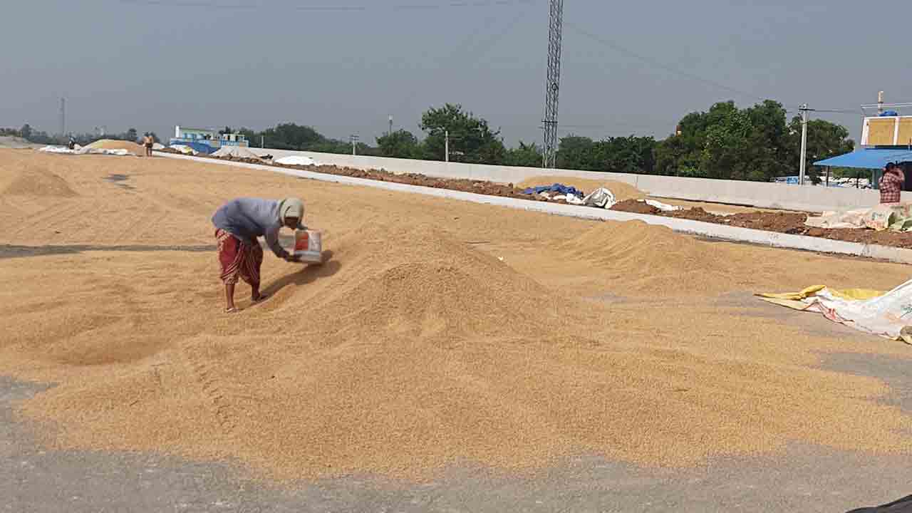 ధాన్యం కొనుగోలుకు సర్వం సిద్ధం
