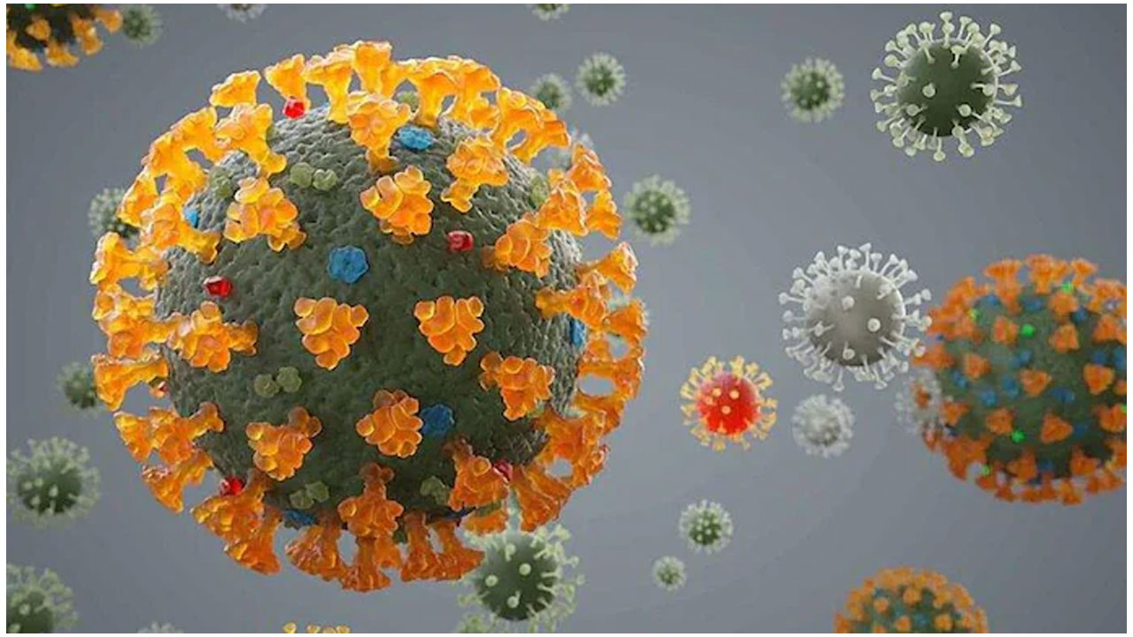 డెల్టా త‌ర‌హాలో లంగ్స్‌పై దాడి చేయ‌నున్న డెల్టాక్రాన్ స్ట్రెయిన్‌