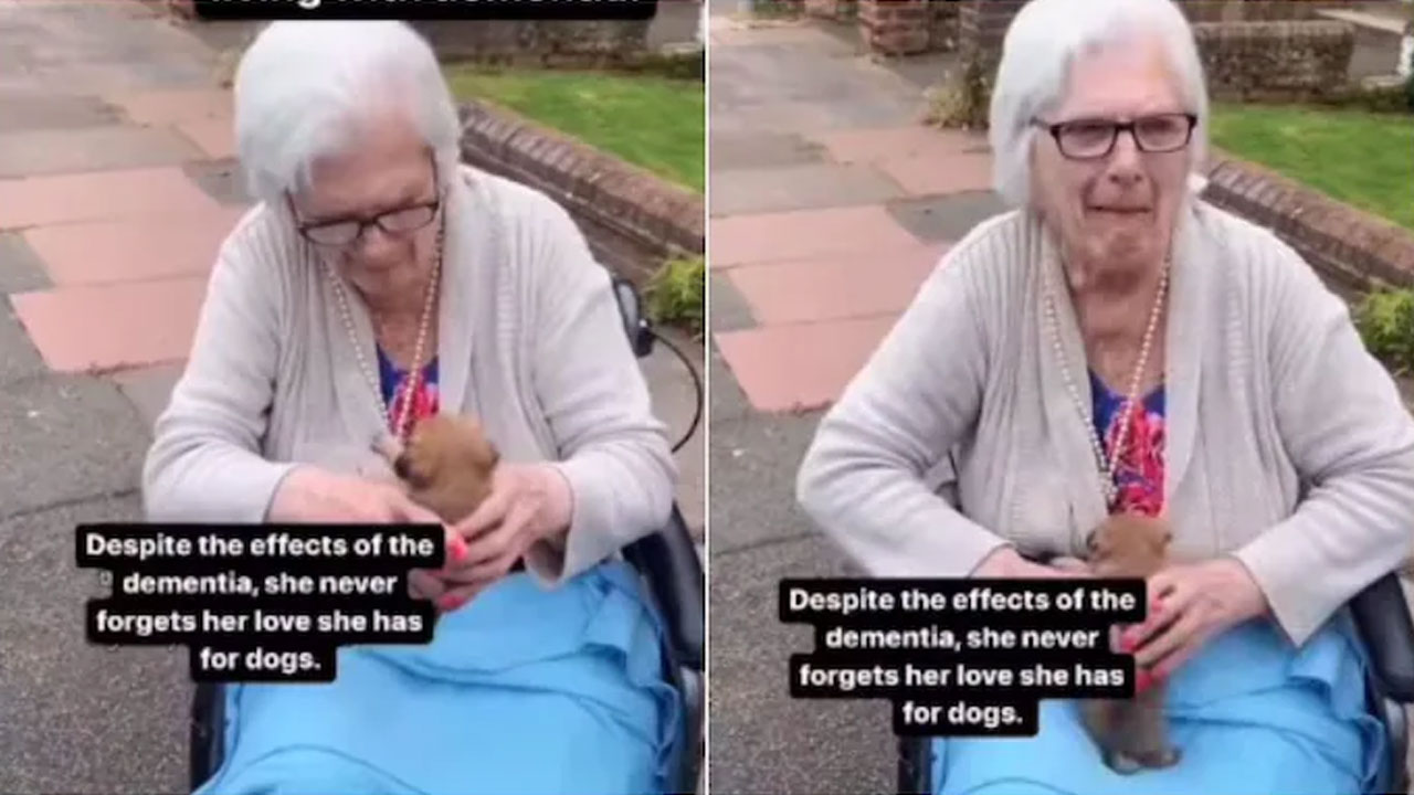 డిమెన్షియా కుంగ‌దీసినా కుక్క‌ల ప‌ట్ల ప్రేమ‌ను మ‌ర్చిపోలేని మ‌హిళ‌!