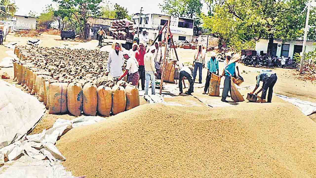 కోతలు ముమ్మరం.. కొనుగోలుకు సన్నద్ధం