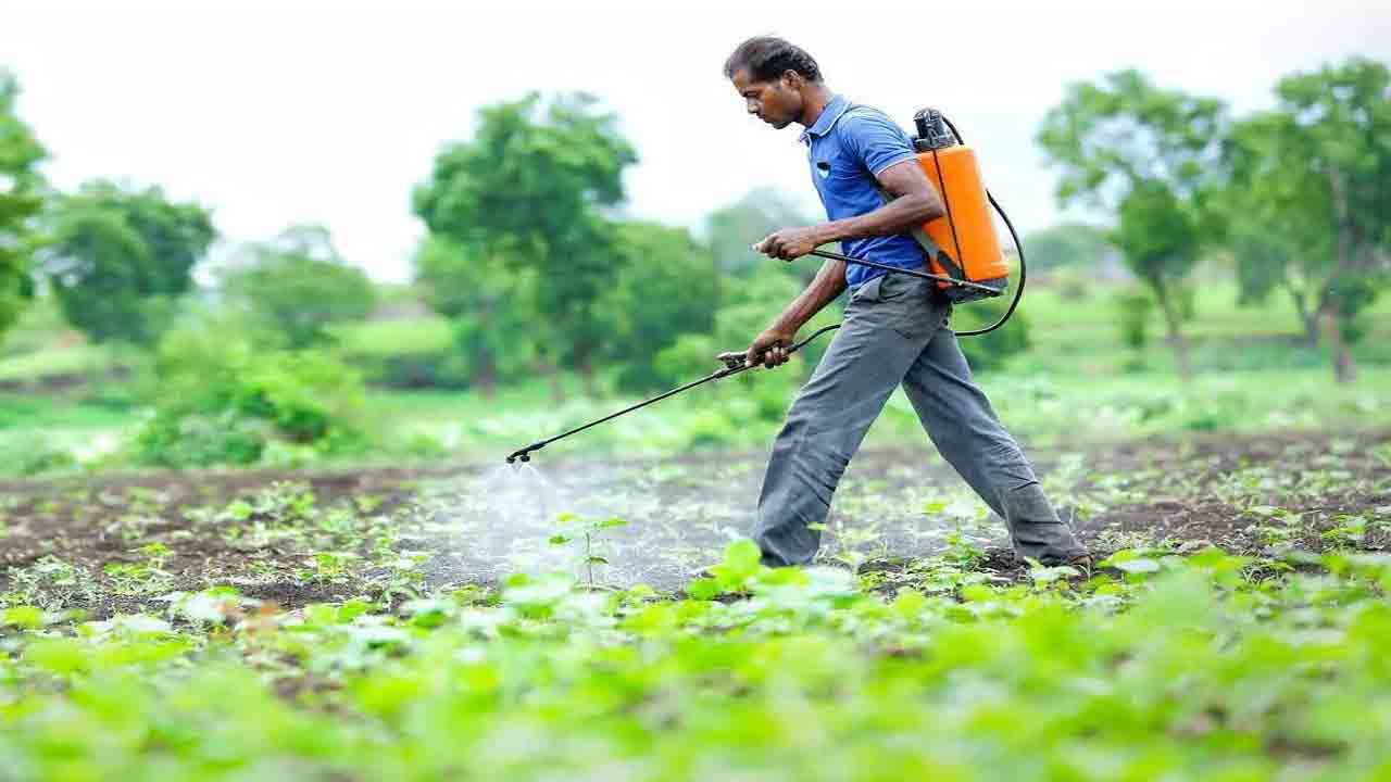 ప్రైవేటు కంపెనీలకే ఎరువు.. 30 శాతం ఎరువులు గుజరాత్ కంపెనీలవే