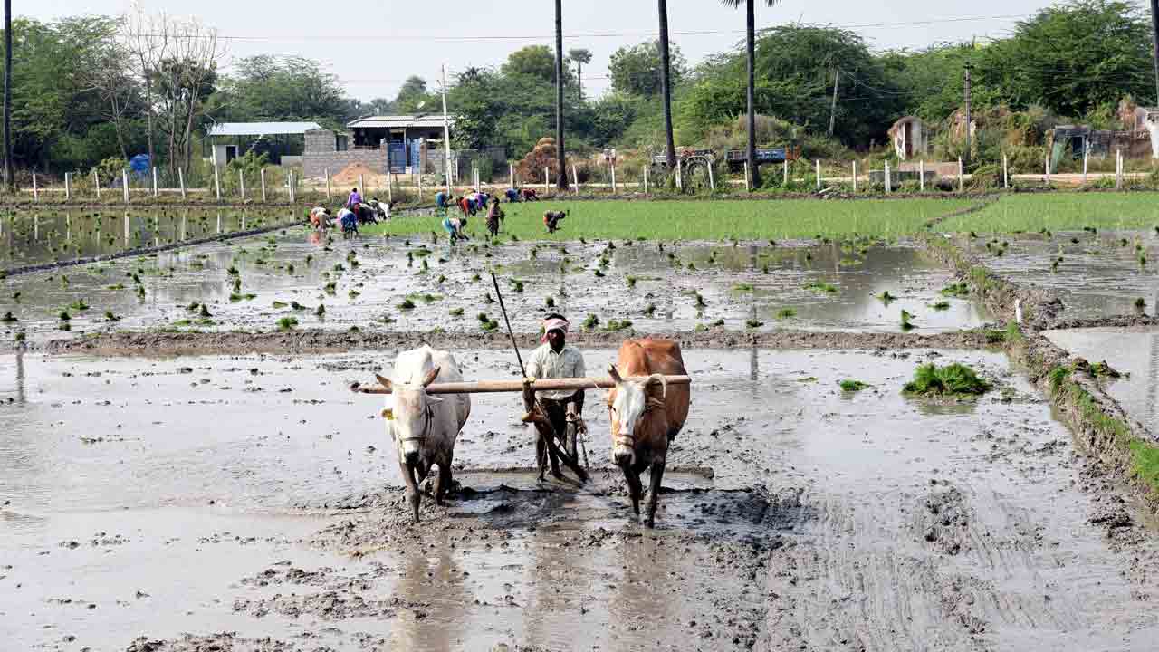యాసంగి ప్రణాళిక రెడీ