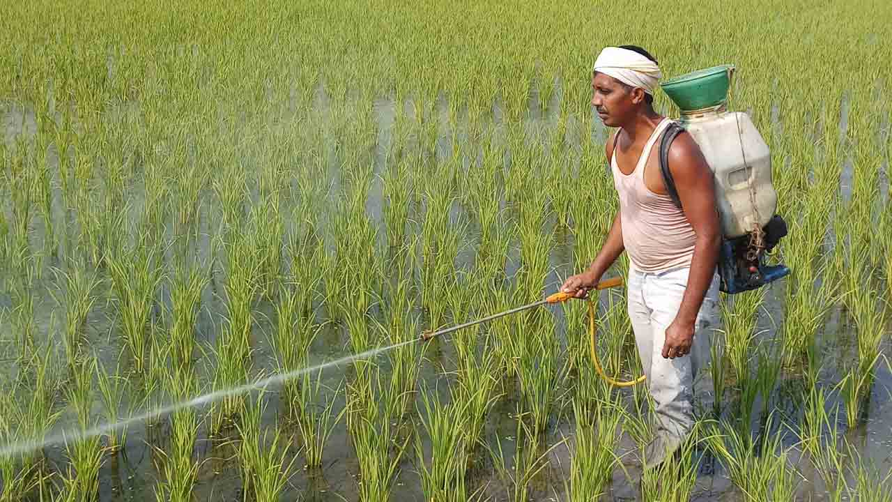 నానో యూరియా.. బహుళ ప్రయోజనకారి