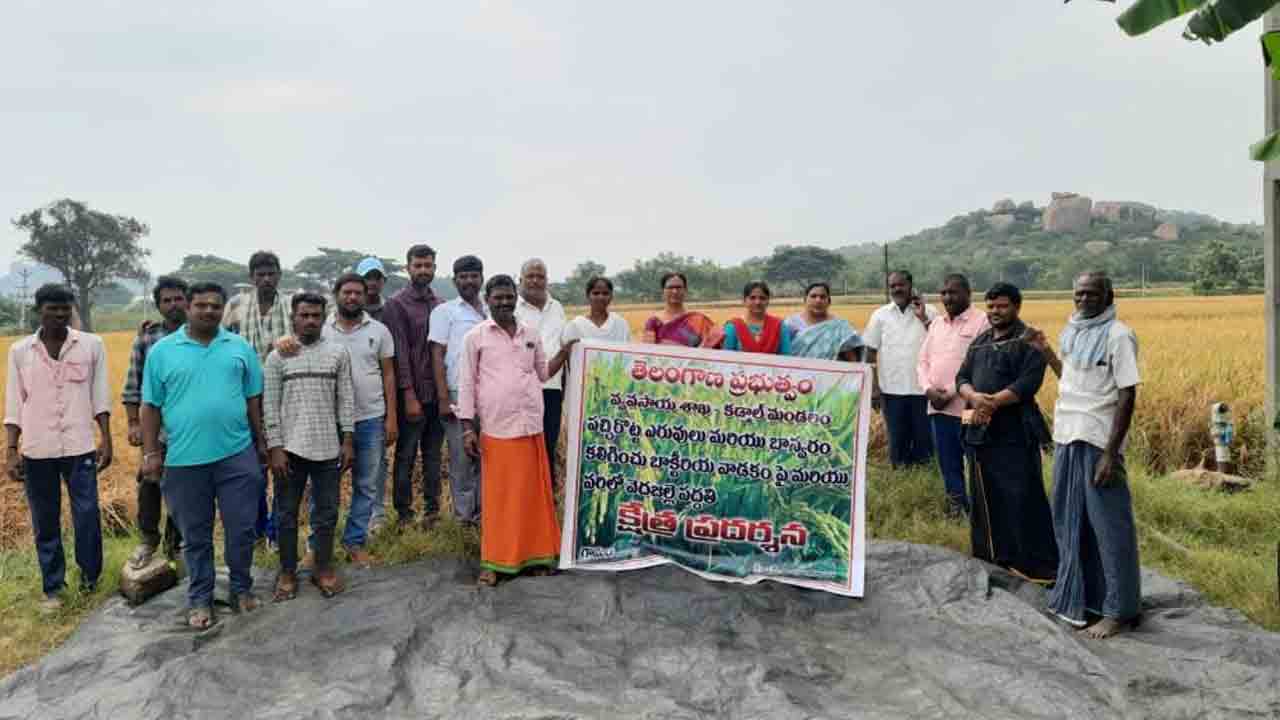 రసాయన ఎరువుల వాడకాన్ని తగ్గించాలి