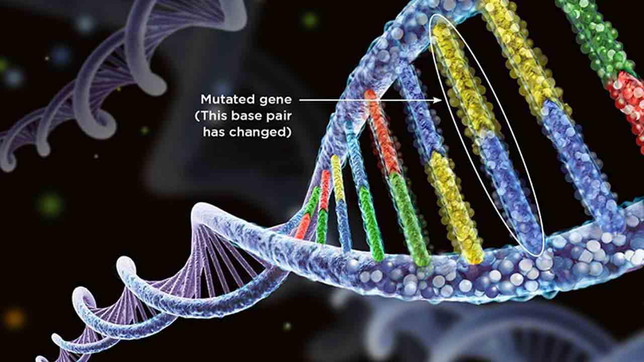 5 క్యాన్సర్లున్నా ఏం కాలేదు!