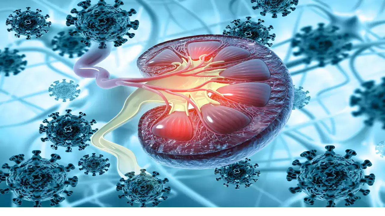 Health Tips | మెరుగైన జీవ‌న‌శైలితో కిడ్నీల ఆరోగ్యం ప‌దిలం