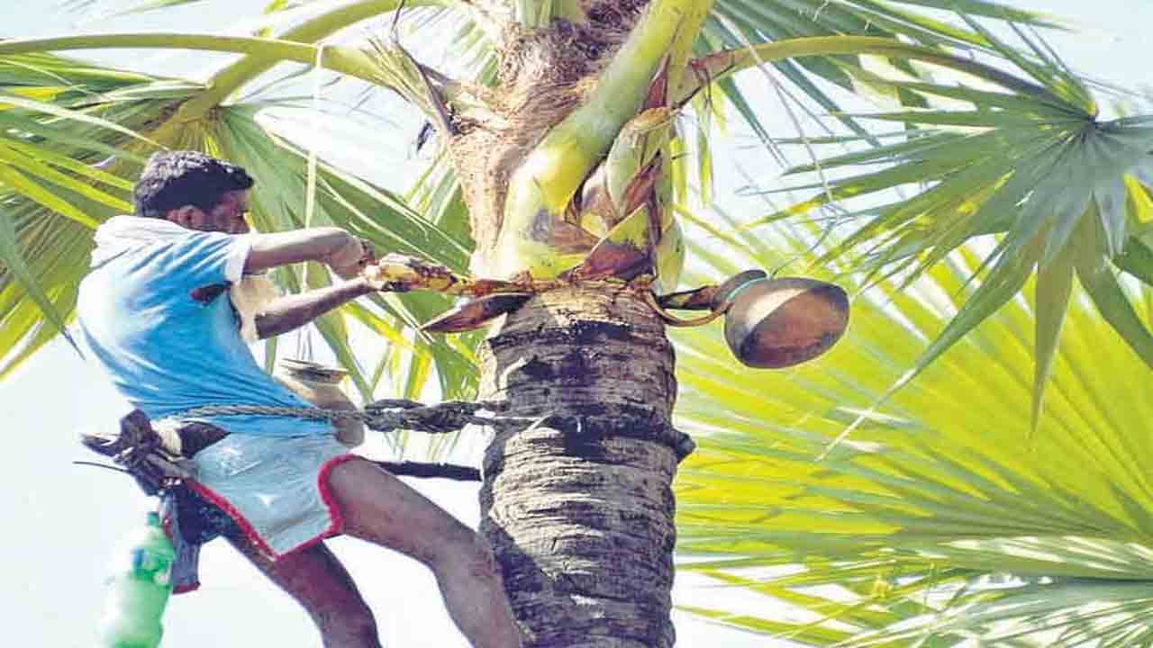 గీత కార్మికులకు పరిహారం మంజూరు