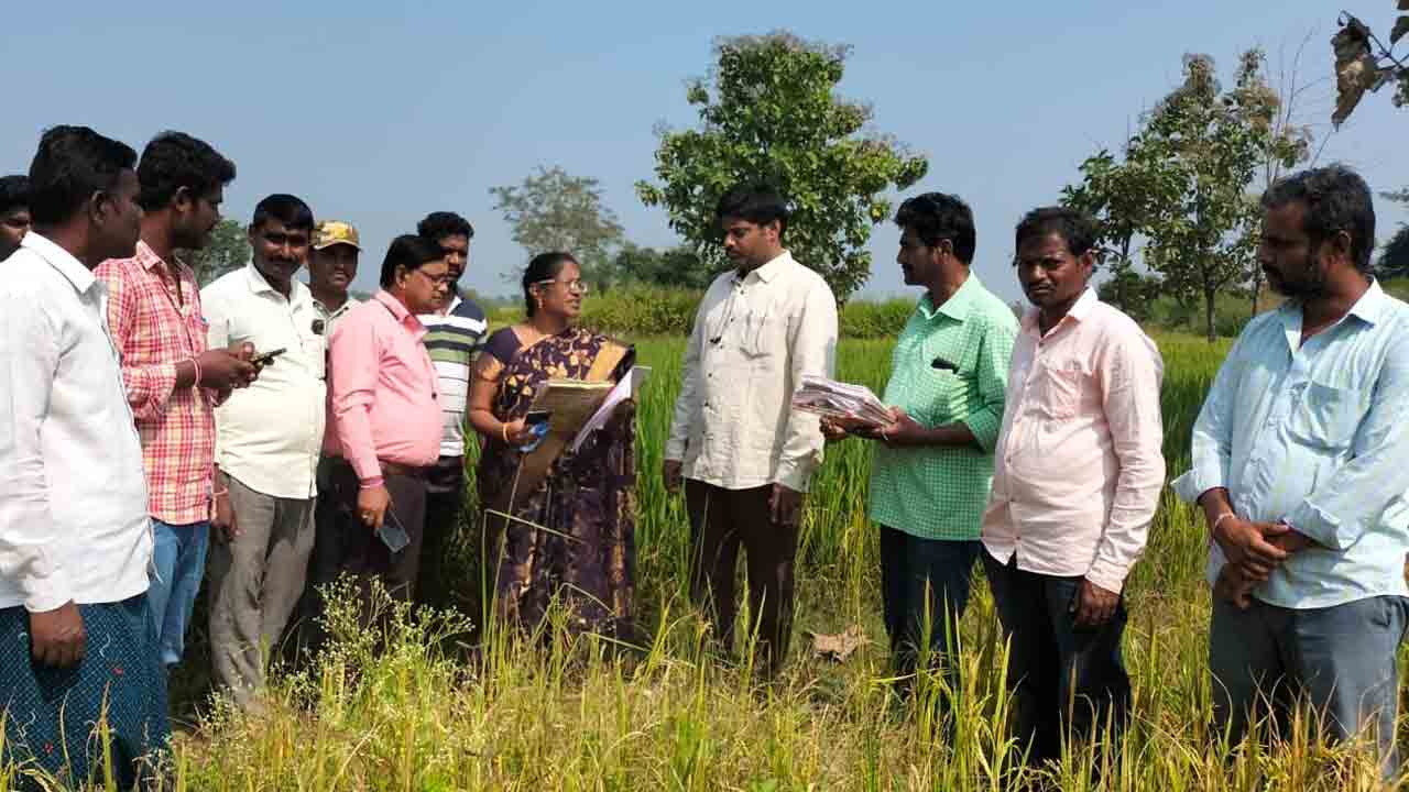 17 జిల్లాల్లో పోడు పరిశీలన పూర్తి