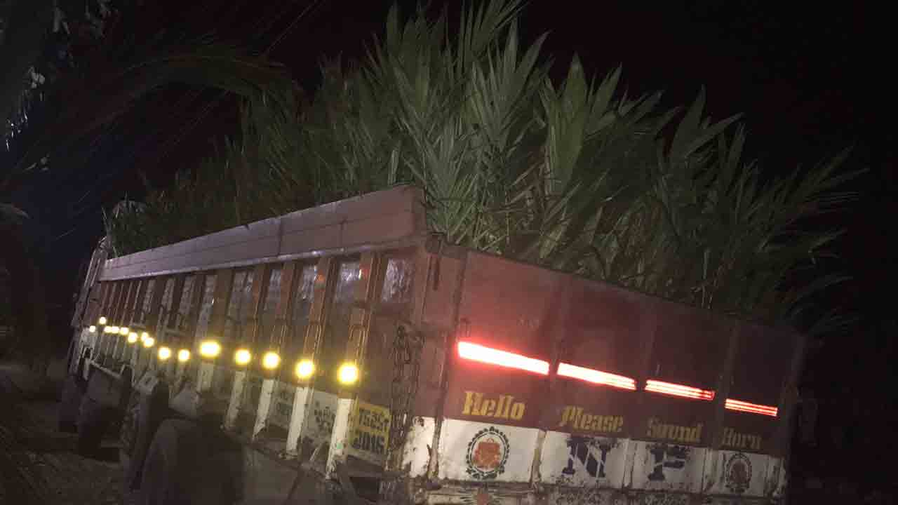 పామాయిల్‌ మొక్కల లారీని అడ్డుకున్న రైతులు పోలీస్‌స్టేషన్‌కు అప్పగింత