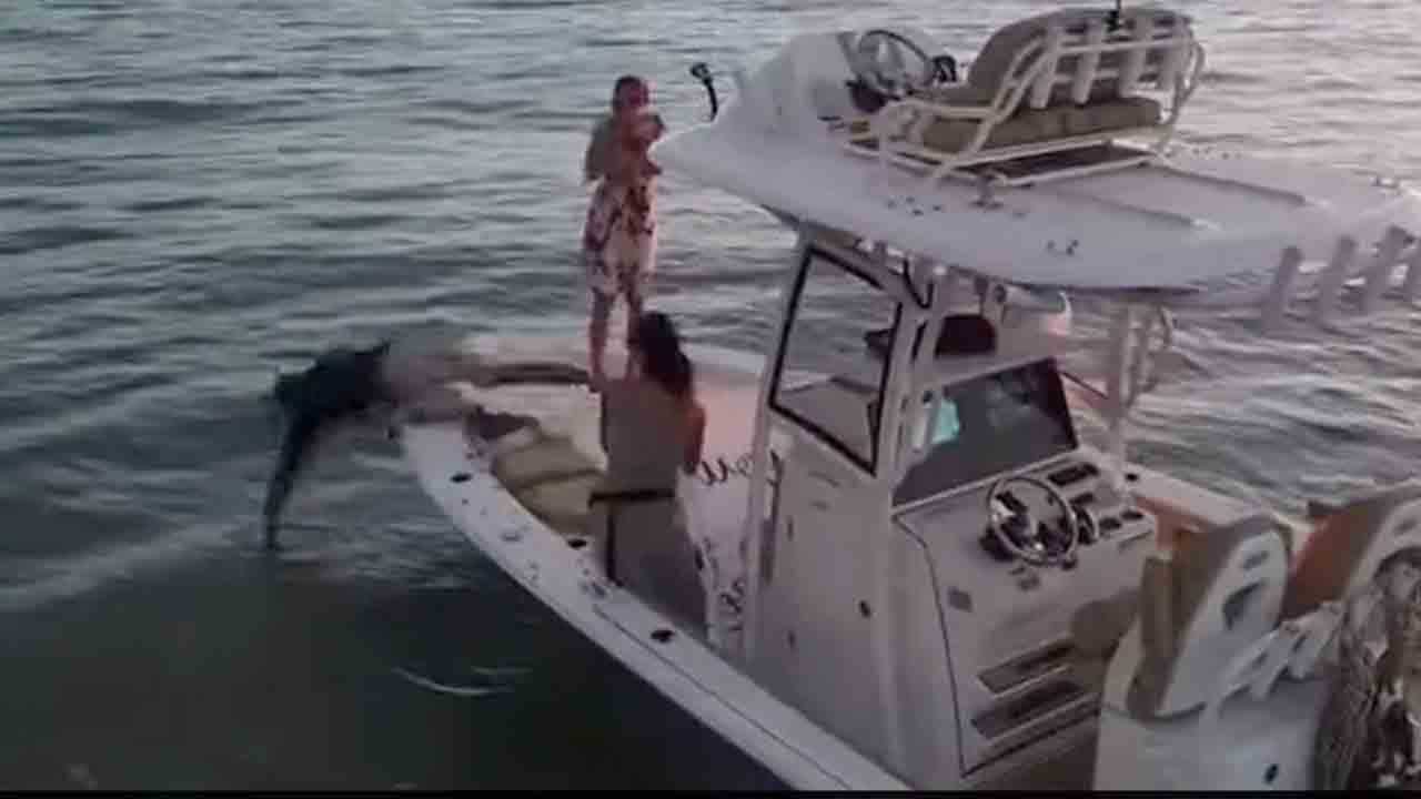 వినూత్నంగా ల‌వ్ ప్ర‌పోజ‌ల్.. గ‌ర్ల్ ఫ్రెండ్ కోసం స‌ముద్రంలోకి దూకేశాడు.. వీడియో వైర‌ల్