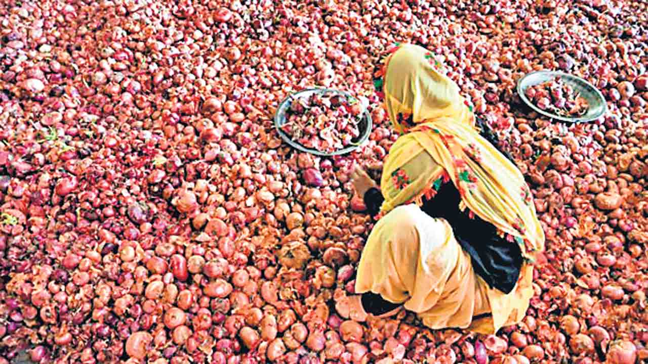 200 కిలోల ఉల్లిగడ్డలకు రూ.8.. కర్ణాటకలో ఉల్లి రైతుల దయనీయ పరిస్థితి