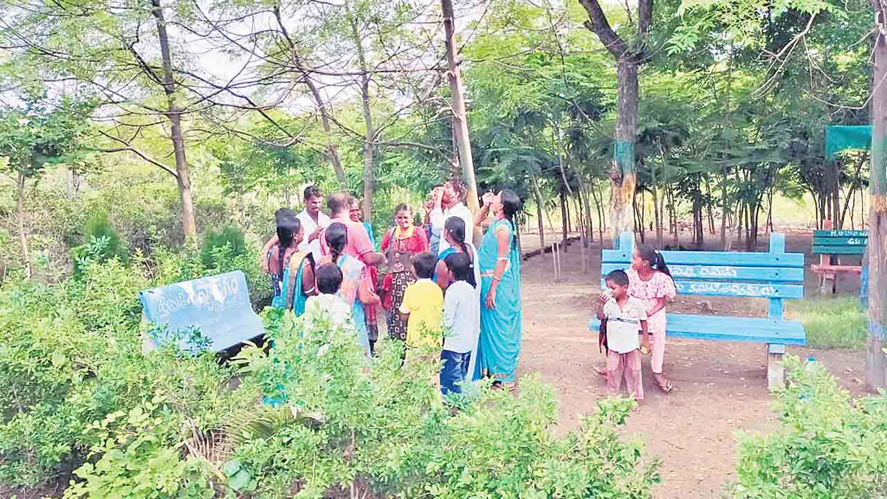 పల్లెకు కొత్తందం