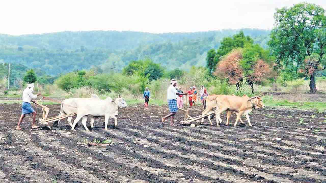 భూ వివాదాలు తలెత్తకుండా.. పోడు భూముల హక్కులపై పకడ్బందీ చర్యలు