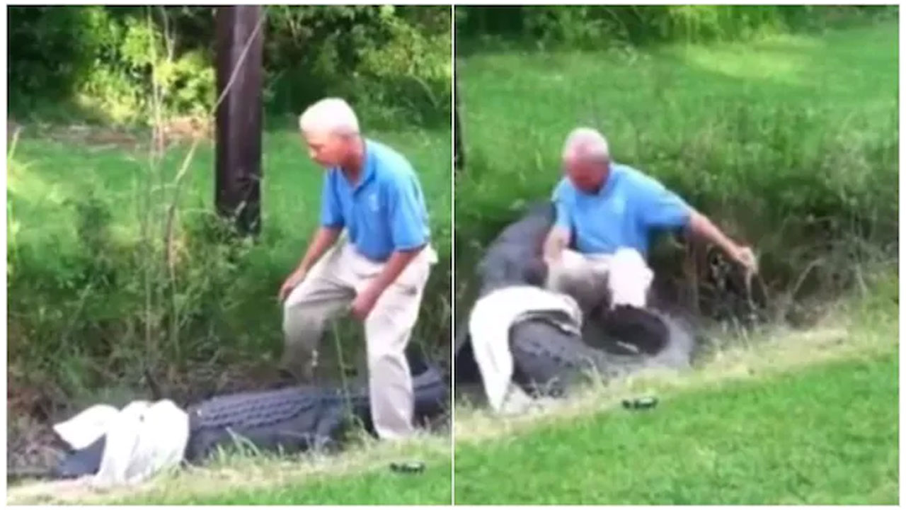 గ్రేట్ వీడియో: మొసలితో పోరాడిన వృద్ధుడు.. ఎలా బయటపడ్డాడు..!