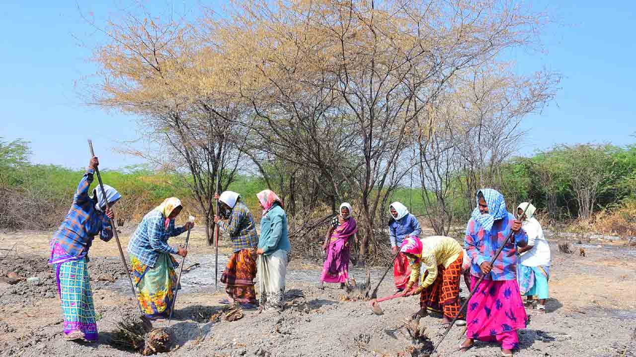 ఉపాధి సభలు