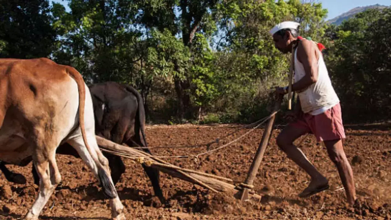 సాఫ్ట్‌వేర్ కొలువును కాల‌ద‌న్ని సాగులో నెగ్గుకొచ్చిన టెకీ!