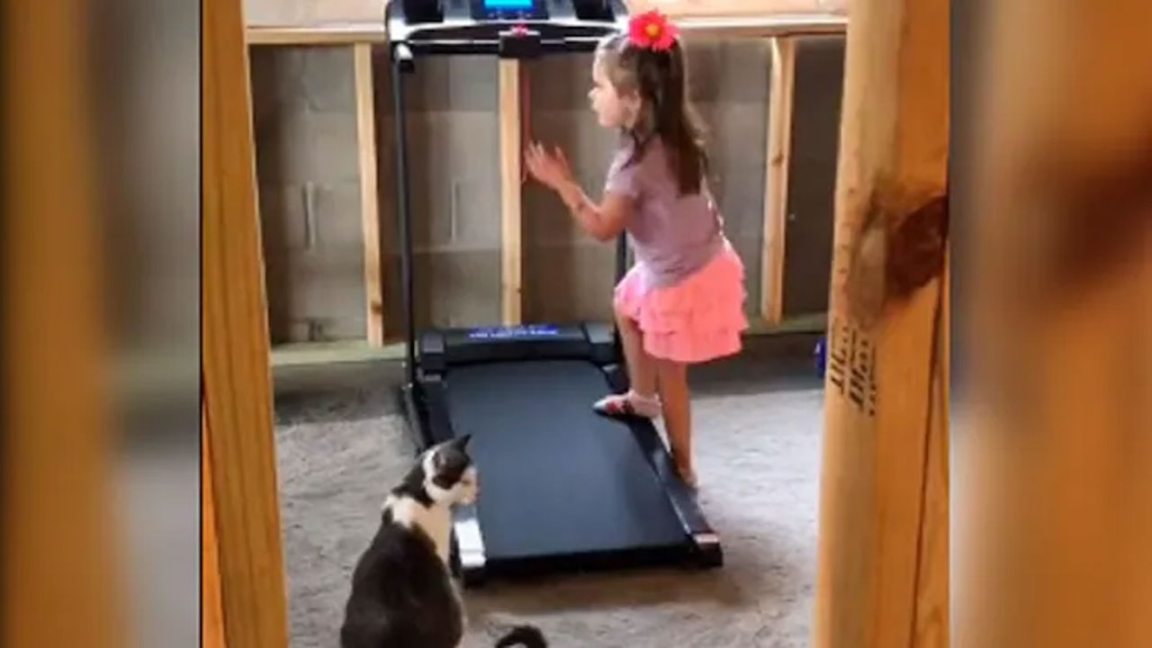 వైర‌ల్ వీడియో : ట్రెడ్‌మిల్  వాడ‌కంపై పిల్లికి ట్రైనింగ్ ఇచ్చిన చిన్నారి!