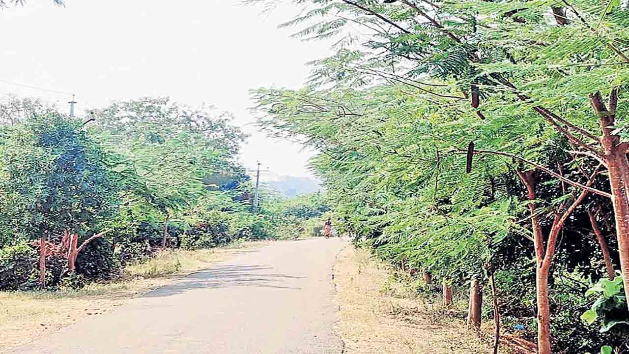 పచ్చదనా విఠ్యాల