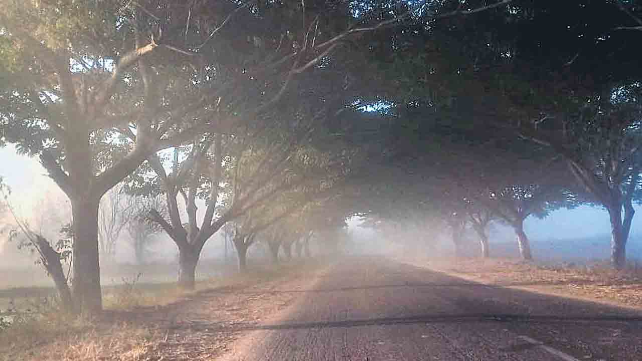 వణికిస్తోన్న చలి..