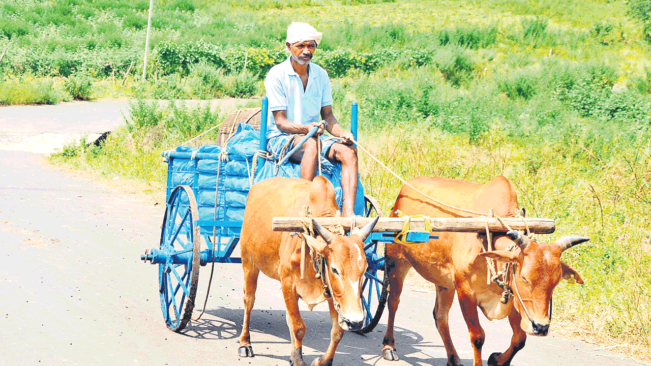 335 యూనిట్లు రూ.2.24 కోట్లు