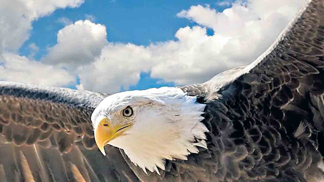 తెలంగాణమా పారాహుషార్‌!